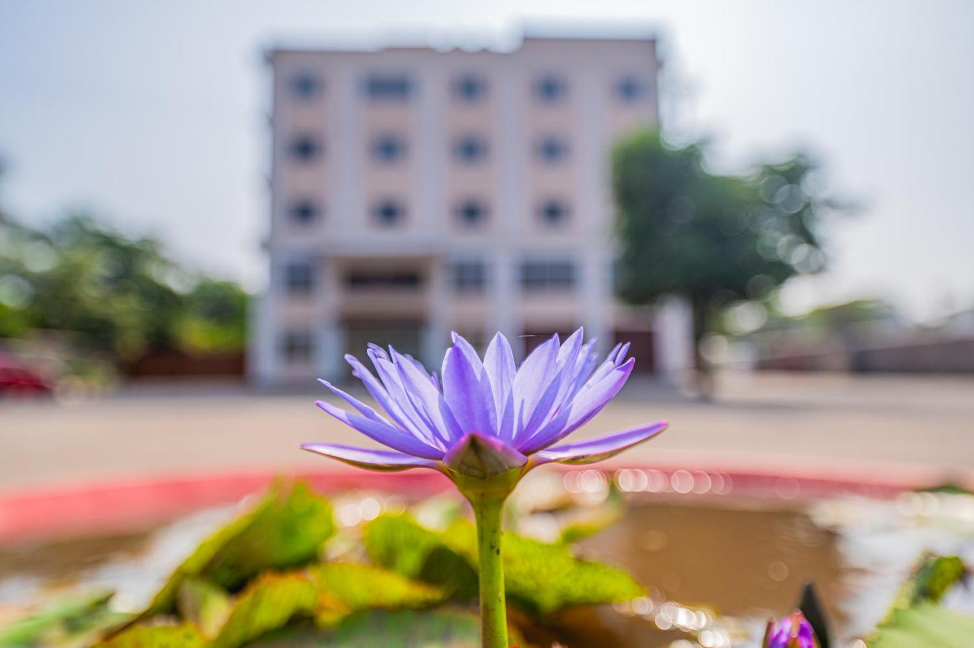 Lotus Leaf Hotel Pali  Luaran gambar